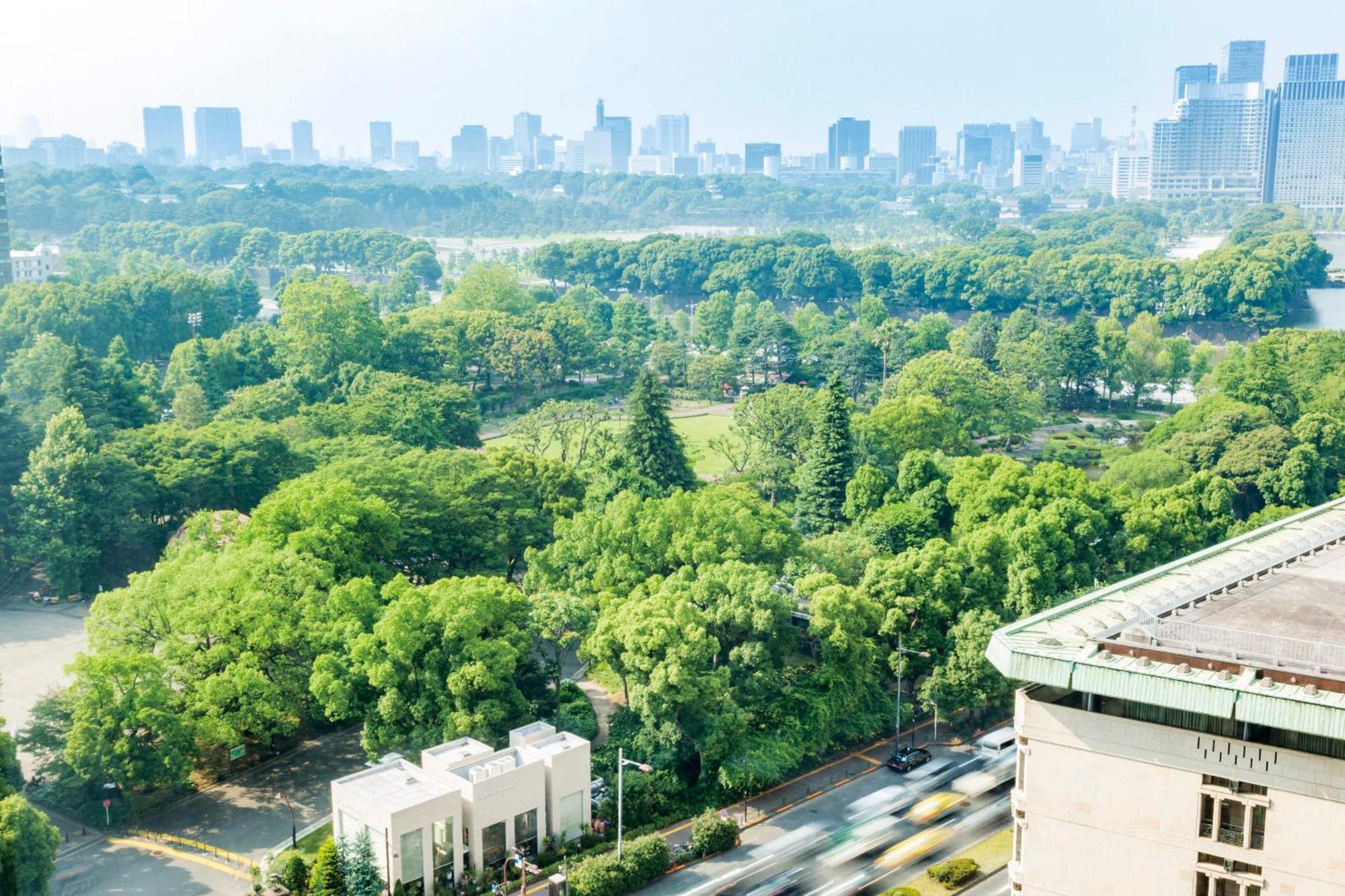 帝国ホテル東京 東京都 エクステリア 写真 View of the park from the west